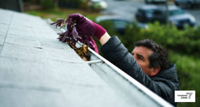 limpiezadecanalonesenquintanardelaorden 1920w