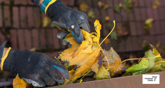 limpiezadecanalonesybajantesentoledo 1920w