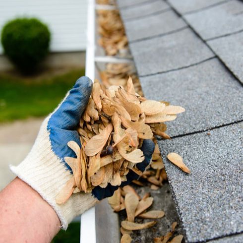 retiradamanualdesuciedadenelcanalon Toledo 486w