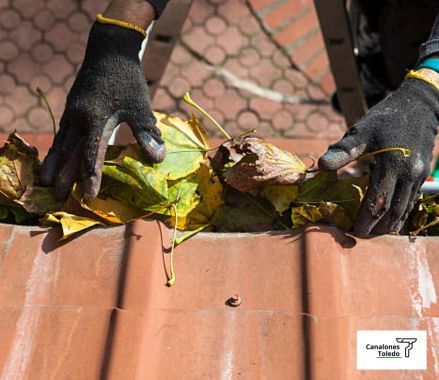 serviciodelimpiezadecanalonesenconsuegra 1920w